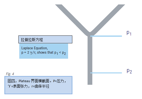 圖四，Plateau界面橫截面